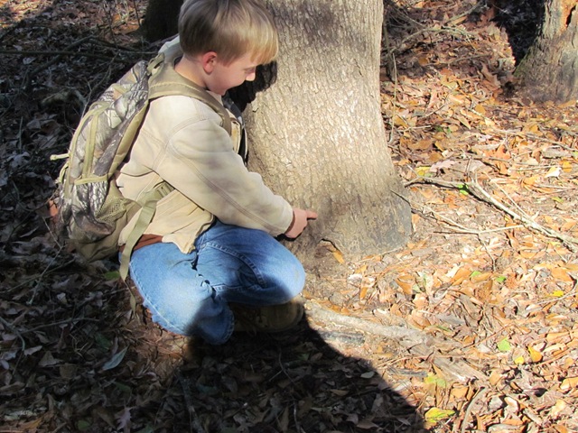 [2011-2-5 Blackforest  (23)[2].jpg]