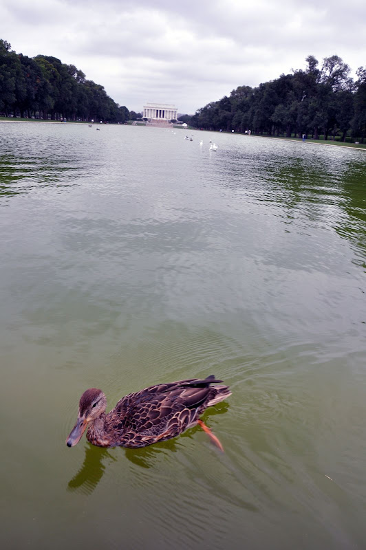 Washington, DC