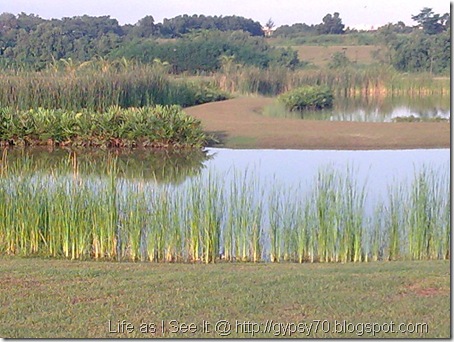 Image002
