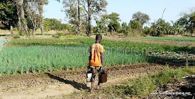 Marâichage au Burkina Faso Marâichage au Burkina Faso