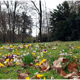 Au parc de la tête d'or