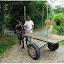 Titane et la carriole de la ferme pédagogique.