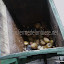 Broyeur pour la fabrication de jus de pomme à la ferme