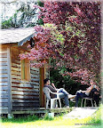 Le petit chalet et sa terrasse à l'ombre des arbres.