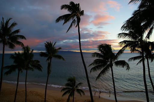 maui