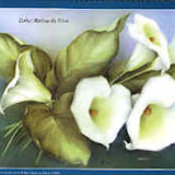 RISCO FLORES