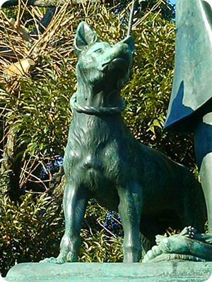 2010-01-24 001 004