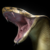 HeroMouthCloseup.jpg