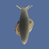 Under.jpg