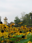 dom-marieantoinette-42.jpg