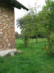 dom-mmeelisabeth-06.jpg
