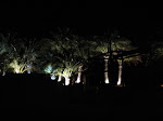 Versailles OFF nuits blanches oct 2006 007.jpg