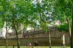 avenue de saint cloud.jpg