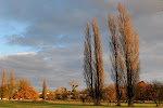 Parc du chateau2 - nov 08.jpg