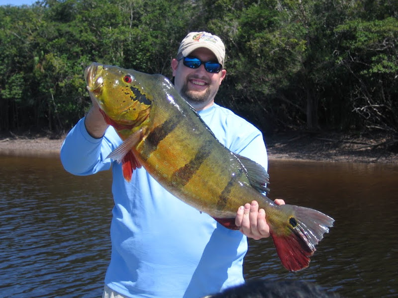 Peacock Bass Fishing Texas Fishing Forum