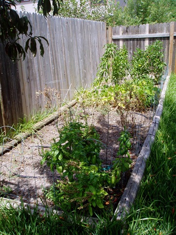 [Garden[7].jpg]