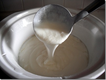 Yogurt Yogurt