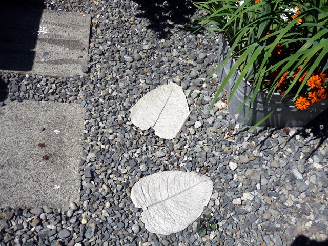 [P10907432.jpg]