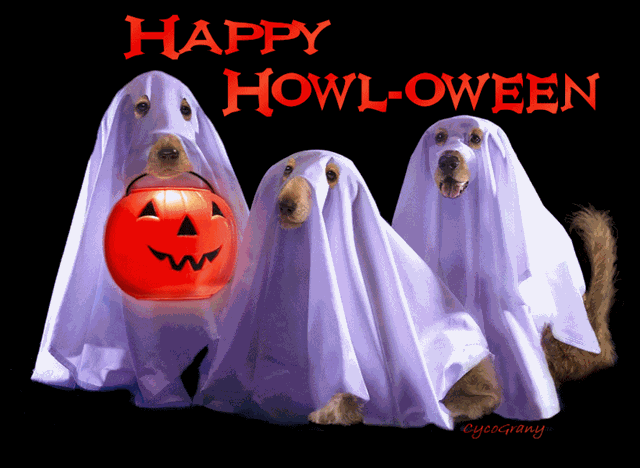 [halloween[2].gif]