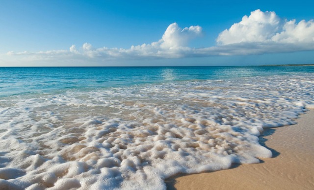 [gracebay[1][4].jpg]