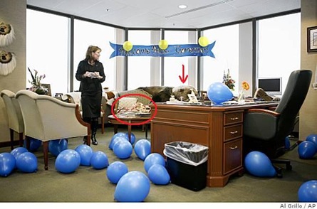 [Palin's office2[2].jpg]
