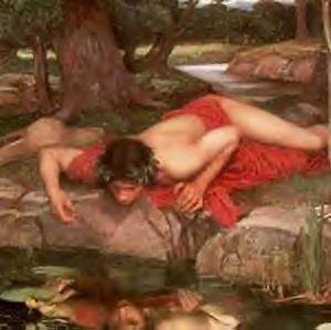 [Narcissus[3].jpg]