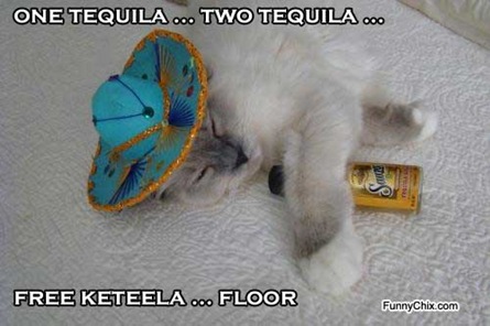 [Tequila[4].jpg]