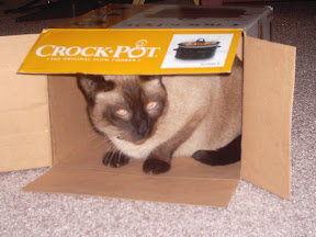 2008-11-08 004.jpg