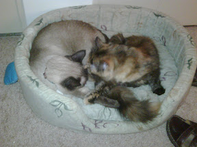 2009-09-15 001.jpg