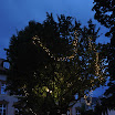DSC_0327.JPG