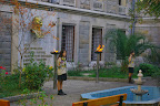 IMGP4361.JPG