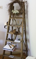 Industrial Ladder 1