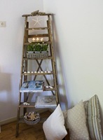 Coastal Ladder3