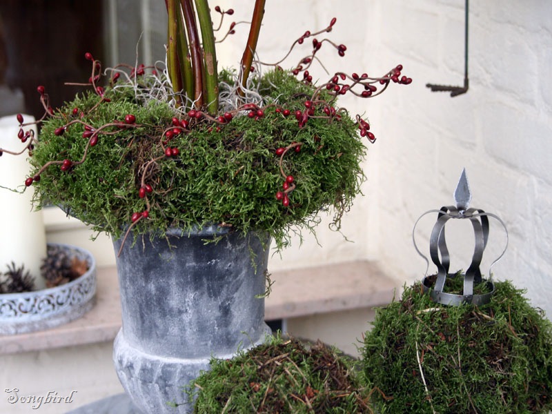[moss wreath[4].jpg]