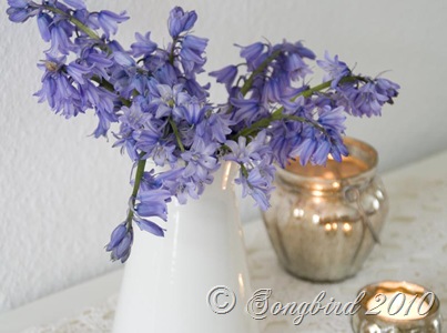 [Wild hyacinth vignette[3].jpg]