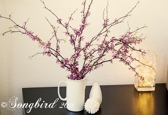 Blosom Branches 2