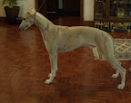 PHI_3332.jpg