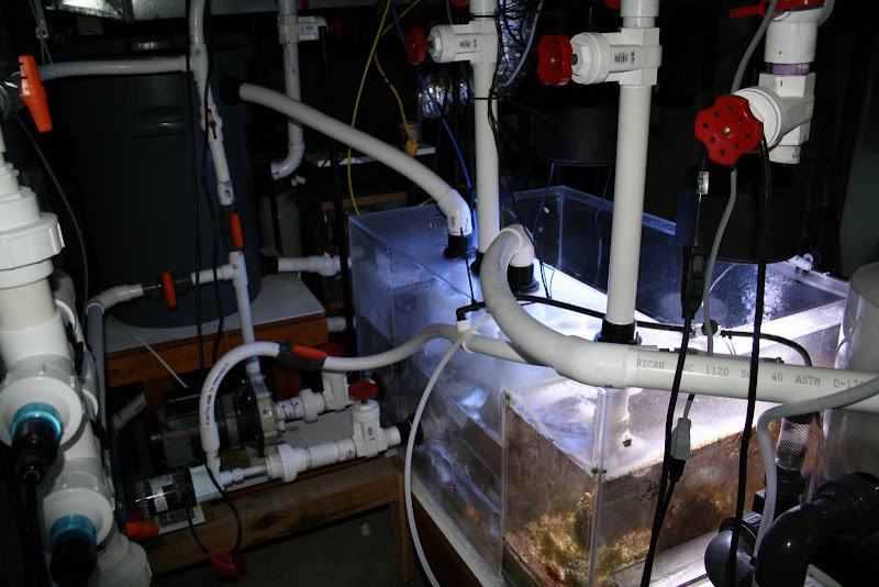 Can we get some Filter room pics Reef Central Online Community
