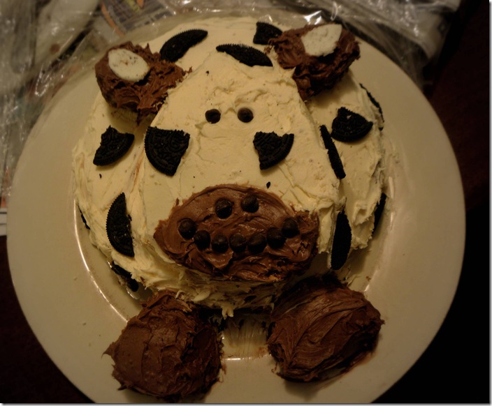 cow cake 001