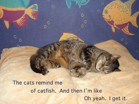 [haiku: The cats remind me / of catfish. And then I'm like / Oh yeah. I get it.]