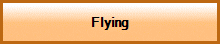 Flying