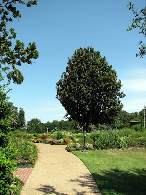 Nice Landscaping