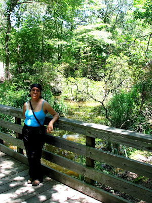 Swamp