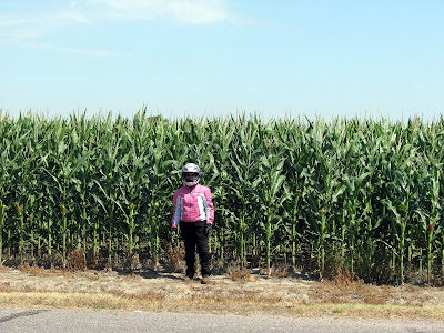Aliens in the corn field!