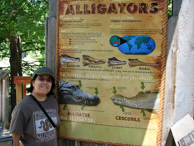 Alligator Exhibit