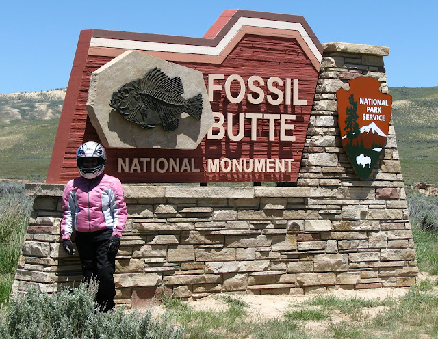 Fossile Butte National Monument