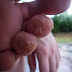 P1040554