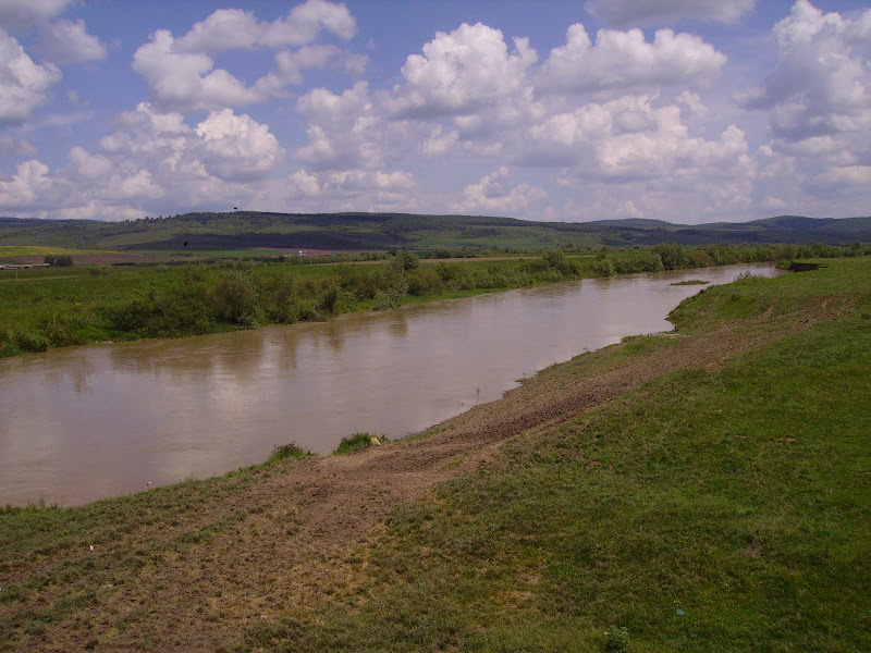 PICT0952.JPG