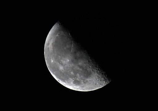 IMAGE: http://lh5.ggpht.com/_FqTNmgNQHz8/S6dAIuYb8FI/AAAAAAAAJng/opVmArgqHTc/IMG_0371_PP_MAR.JPG