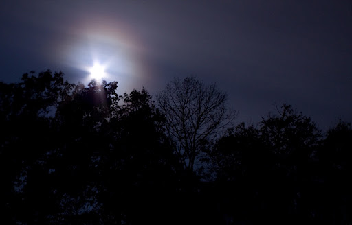 IMAGE: http://lh5.ggpht.com/_FqTNmgNQHz8/SvIhg-Wby_I/AAAAAAAAKaU/b6LUX91S3sE/IMG_0726.jpg